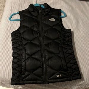 NICE NORTH FACE VEST